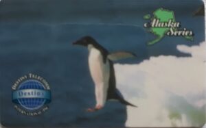 Alaska - Penguin