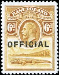 Nile Crocodile (Crocodylus niloticus)