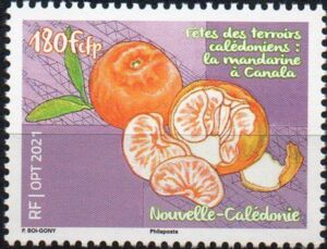 Canala Tangerine