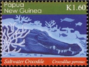 Saltwater Crocodile (Crocodilus porosus)