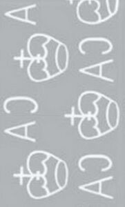 Dog Orchid (Codonorchis lessonii)