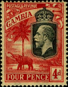 King George V, African Elephant (Loxodonta africana)