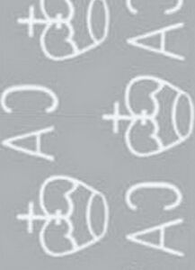 Grey-backed White-eye (Zosterops lateralis)