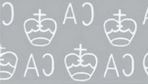 Tiger Moth (Asota woodfordii)