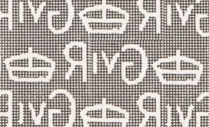 U.P.U. Monument, Berne - Surcharged