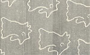 Bidens pinnatipartita