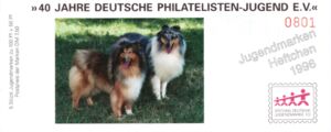 Booklet-Rough Collie