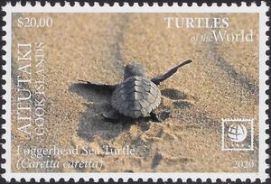 Loggerhead Sea Turtle (Caretta caretta)