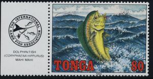 Dolphin Fish (Coryphaena hippurus)