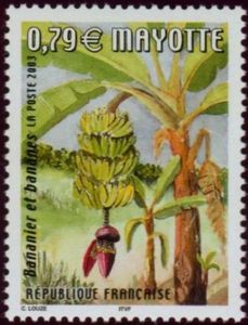Banana