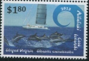 Striped Dolphin (Stenella coeruleoalba)