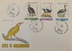 Birds of Mozambique