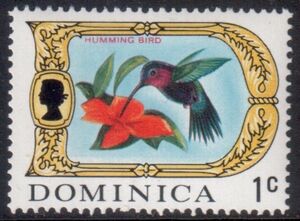 Hummingbird (Eulampis jugularis)