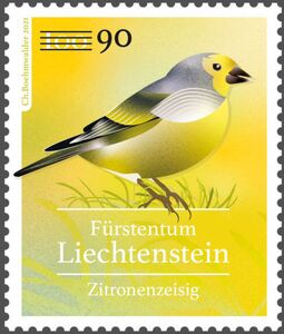 Citril Finch (Carduelis citrinella) Surcharged