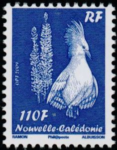Kagu (Rhynochetos jubatus)