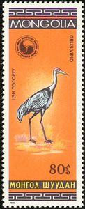 White-naped Crane (Grus vipio)