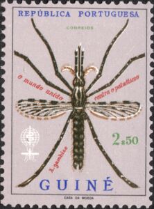 Anopheles Mosquito (Anopheles sp.)