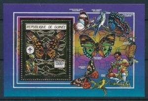 Giant African Swallowtail (Druryia antimachus)