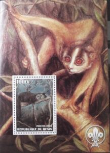 Animals - Lemurs Monkeys