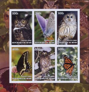 Owls and Butterflies
