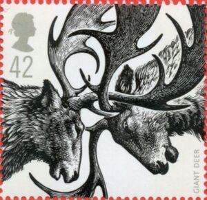 Irish Elk (Megaloceros giganteus)