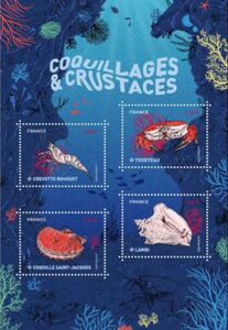 Molluscs and Crustaceans