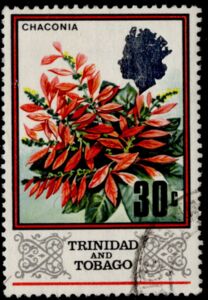 Chaconia (Warszewiczia coccinea)