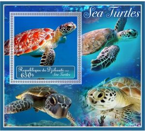 Fauna Sea turtles