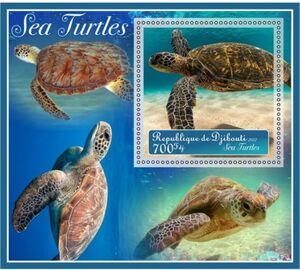 Fauna Sea turtles