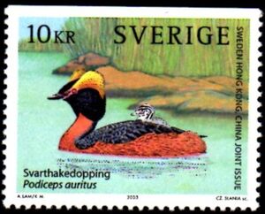 Horned Grebe (Podiceps auritus)