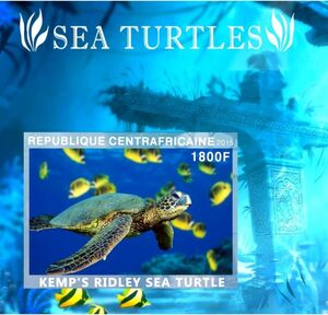 Kemp's Ridley Sea turtle