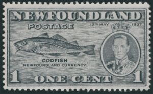 Atlantic Cod (Gadus morrhua)