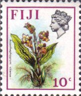 Acanthephippium vitiense