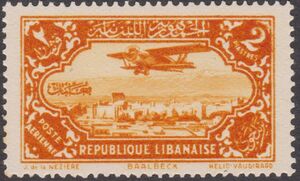 Plane over landscape