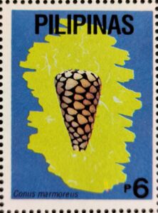 Marbled Cone (Conus marmoreus)