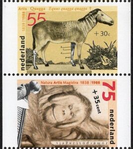 Summer Stamps 1988 - from Booklet