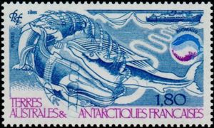 Whales and Krill
