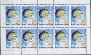 The 6.000.000.000 Citizen of Earth