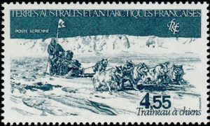 Dogsledding in Adélie Land