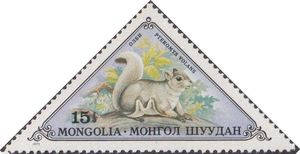 Siberian Flying Squirrel (Pteromys volans)