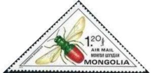 Jewel Wasp (Parnopes grandior)