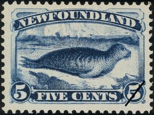 Harbor Seal (Phoca vitulina)