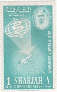 Arrow on Anopheles Mosquito