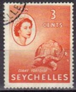 Aldabra Giant Tortoise (Aldabrachelys gigantea)