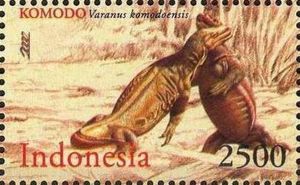 two dragons fighting