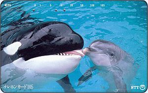 Killer-Whale-and-Dolphin.jpg