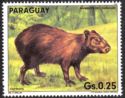 Capybara (Hydrochoerus hydrochaeris) (1985, Paraguay) Capybara (Hydrochoerus hydrochaeris) (1985, Paraguay)