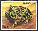 Horned Frog (Rana Cornuda Adornada) (1985, Paraguay) Horned Frog (Rana Cornuda Adornada) (1985, Paraguay)
