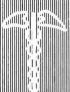 Caduceus Type 1