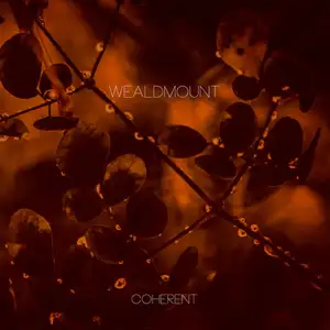 Wealdmount: Coherent